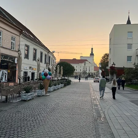 Hviezdoslavova 아파트 트르나바