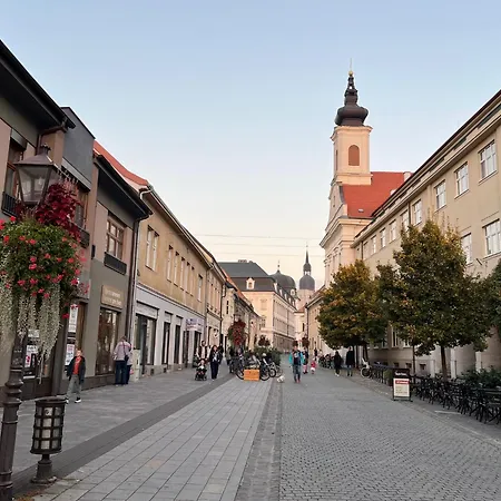 Hviezdoslavova 아파트